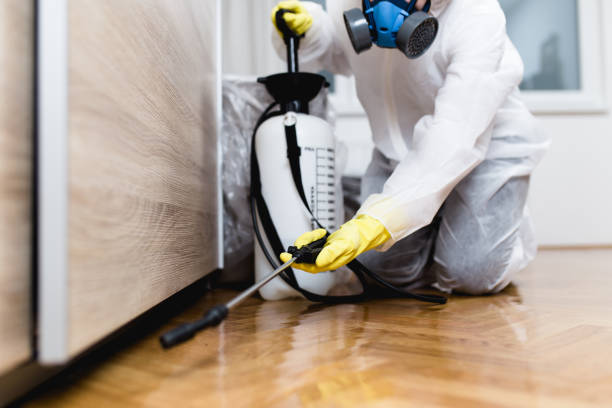 Best Bed Bug Extermination  in Homeland, CA