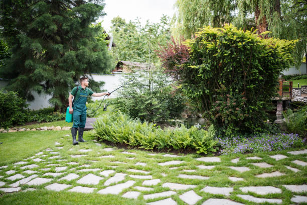Best Exterminator Services  in Homeland, CA