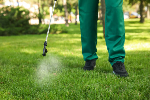 Wildlife Control Services in Homeland, CA