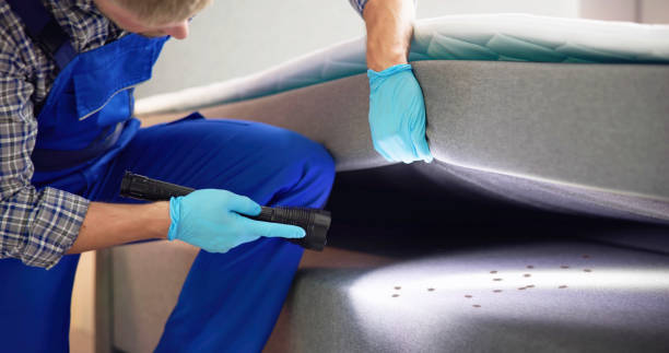 Best Rat Extermination Near Me  in Homeland, CA