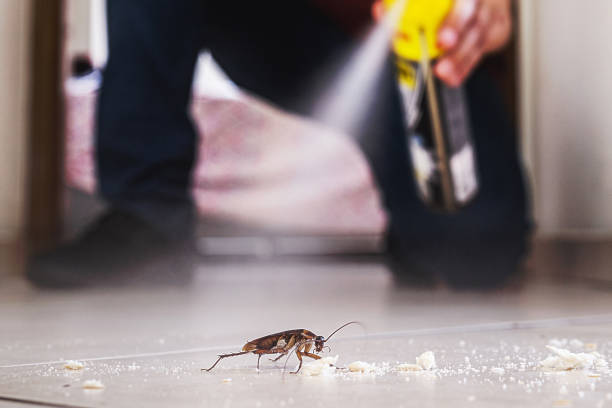  Homeland, CA Pest Control Pros