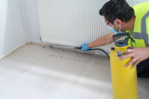 Best Ant Control Services  in Homeland, CA