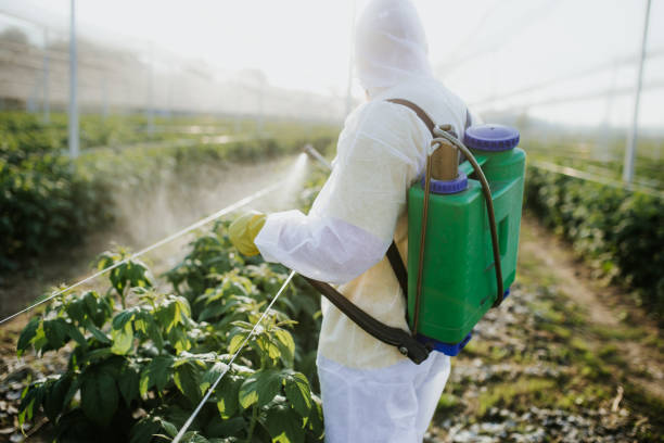 Best Pest Inspection Near Me  in Homeland, CA